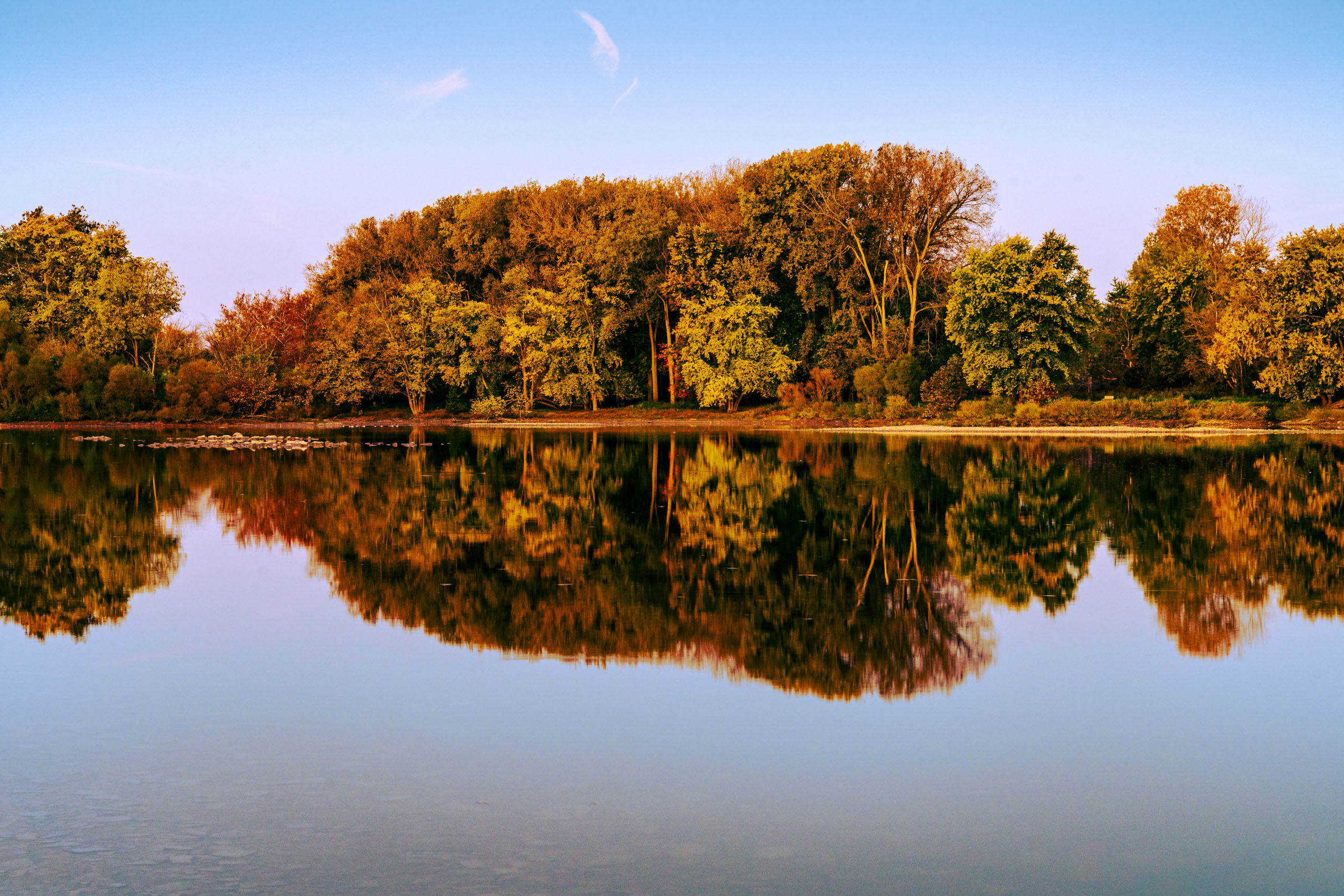 A serene autumn scene features a calm river reflecting a line of trees with vibrant foliage in shades of orange, yellow, and green. The sky is clear with a soft blue hue, and a few wispy clouds are visible. The reflection in the water is mirror-like, creating a symmetrical and tranquil atmosphere. The overall mood is peaceful and picturesque, capturing the essence of fall.
